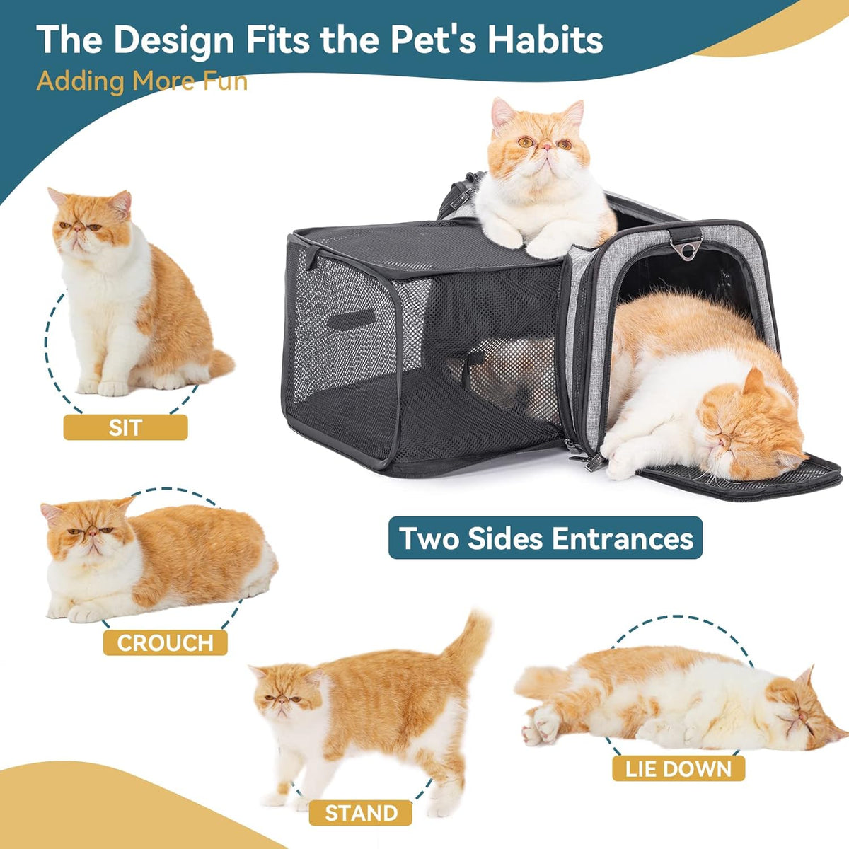 Petsfit Cat Carrier Airline Approved, 17 X11 X11 Soft-Sided Pet Carrier for Medium Cat/Small Dog