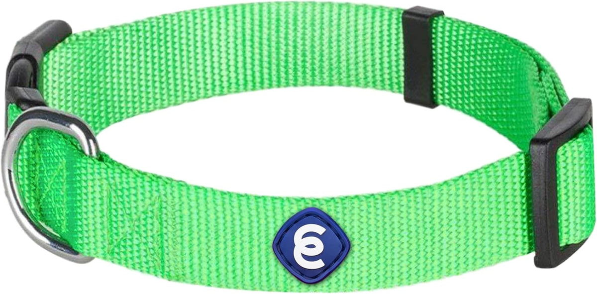 Blueberry Pet Essentials X-Small Dog Collar in Neon Green | Adjustable & Eco-Friendly Durable Nylon