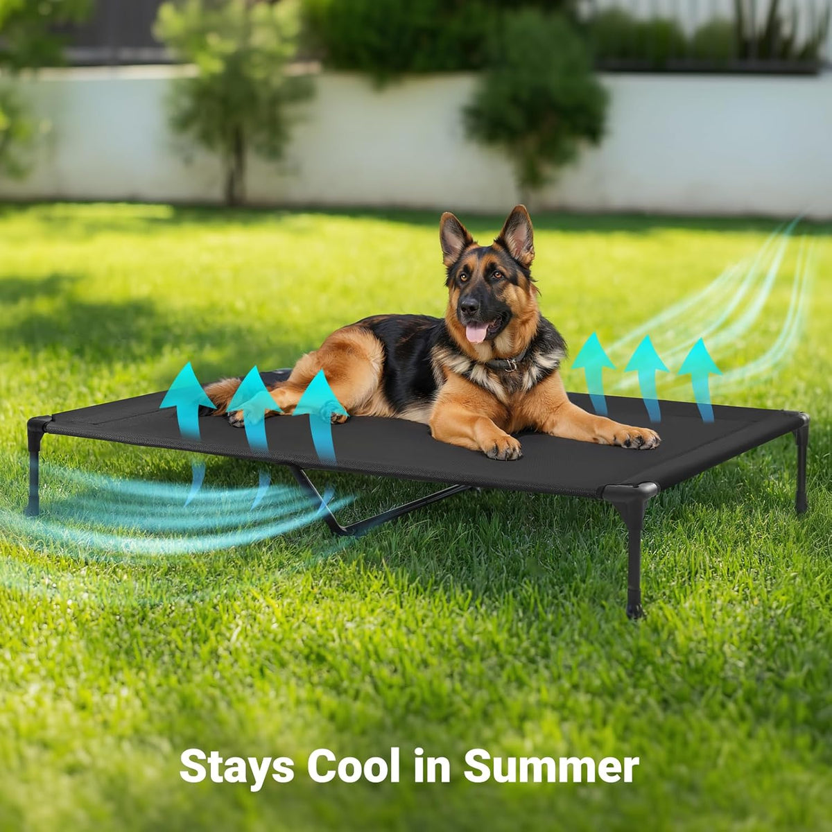 Veehoo XL Outdoor Elevated Dog Cot Bed, Cooling Raised Pet Bed, Washable Breathable Mesh Hammock