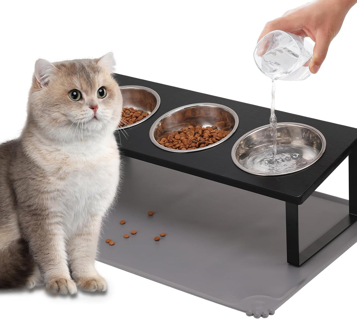 Upgraded Elevated Cat Bowls with Food Mat,15°Tilted Stand Anti Vomiting Raised Cat Dishes for Food