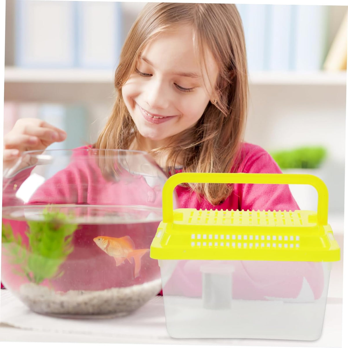 Transparent Plastic Turtle Fish Tank, Reptile Carrier, Feeding Tank, Glass Containers, Amphibia