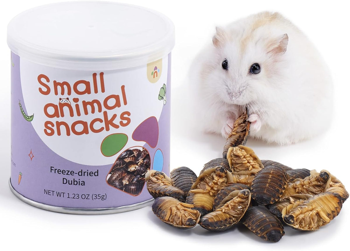 Niteangel Small Animal Snack & Treats - Small Critter Natural Treat for Dwarf Syrian Hamsters