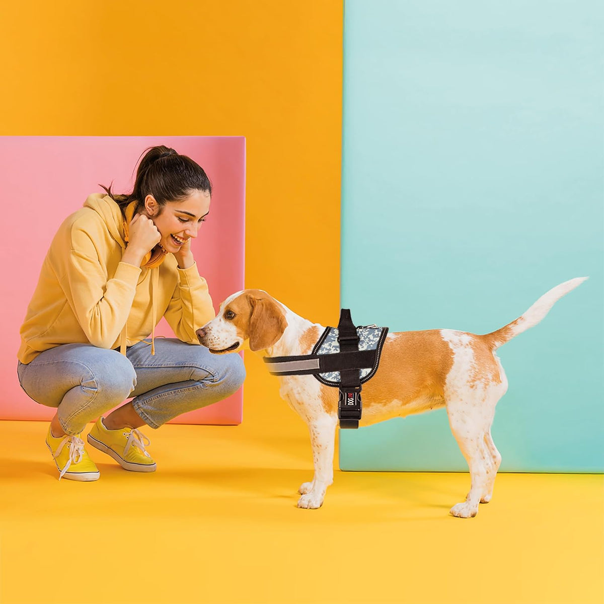 Dogline Dog Harness, Reflective No-Pull Adjustable Vest with Handle for Walking, Training