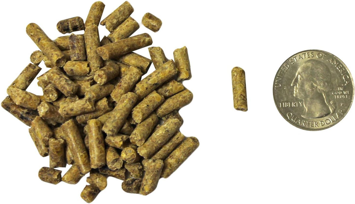 Exotic Nutrition Degu Diet (18lb) - Nutritionally Complete Healthy Pellet Diet with Whole Oats