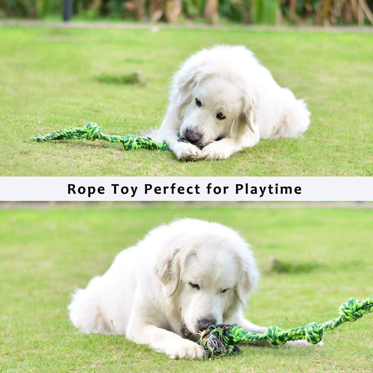 SHARLOVY Dog Toys for Large Dogs and Aggressive Chewers, Indestructible XL Durable Dog Toy,5-Knot