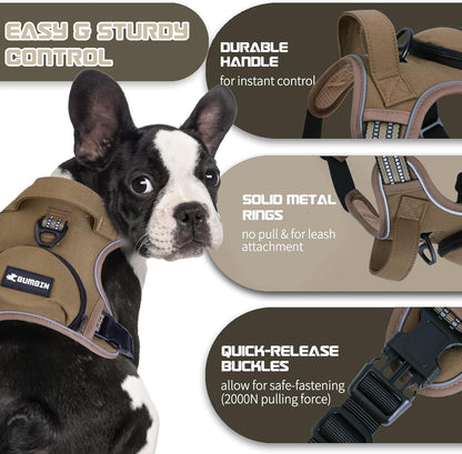 No Pull Dog Harness for Large Dogs, Adjustable No Choke Pet Vest with Dog Leash Fit Smart
