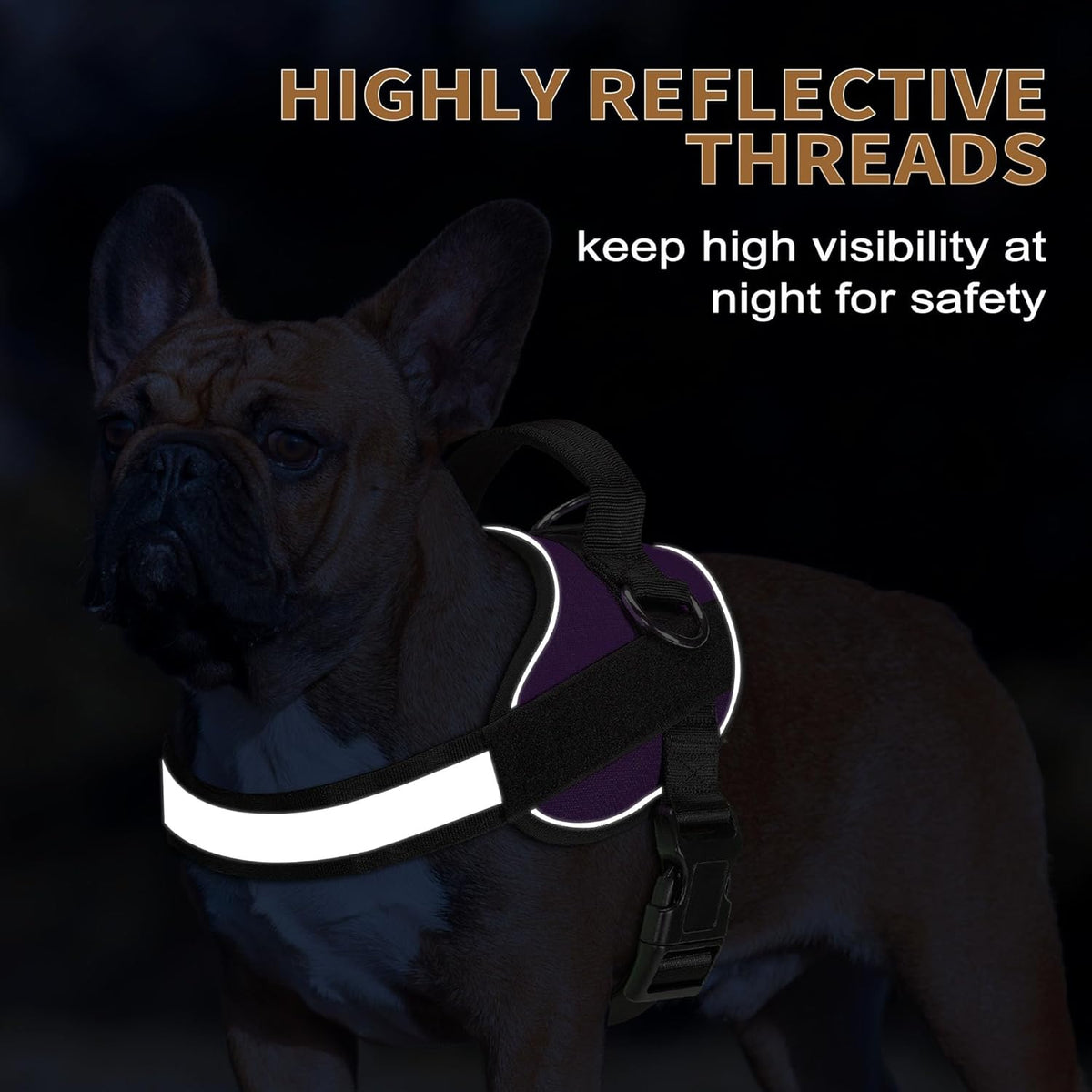 Haapaw Essential Dog Harness, No Pull Pet Vest with 3 Leash Clips, No Choke, Reflective, Adjustable