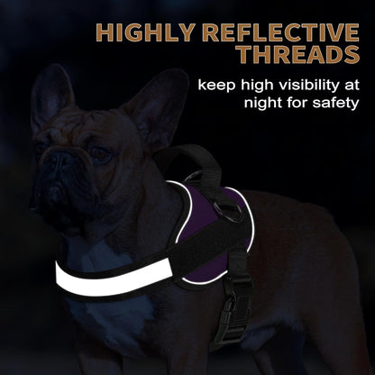 Haapaw Essential Dog Harness, No Pull Pet Vest with 3 Leash Clips, No Choke, Reflective, Adjustable