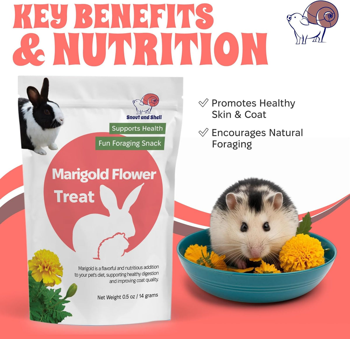Snout and Shell Marigold Flower Treat for Small Pets – Organic, Healthy Digestive Support – Fun