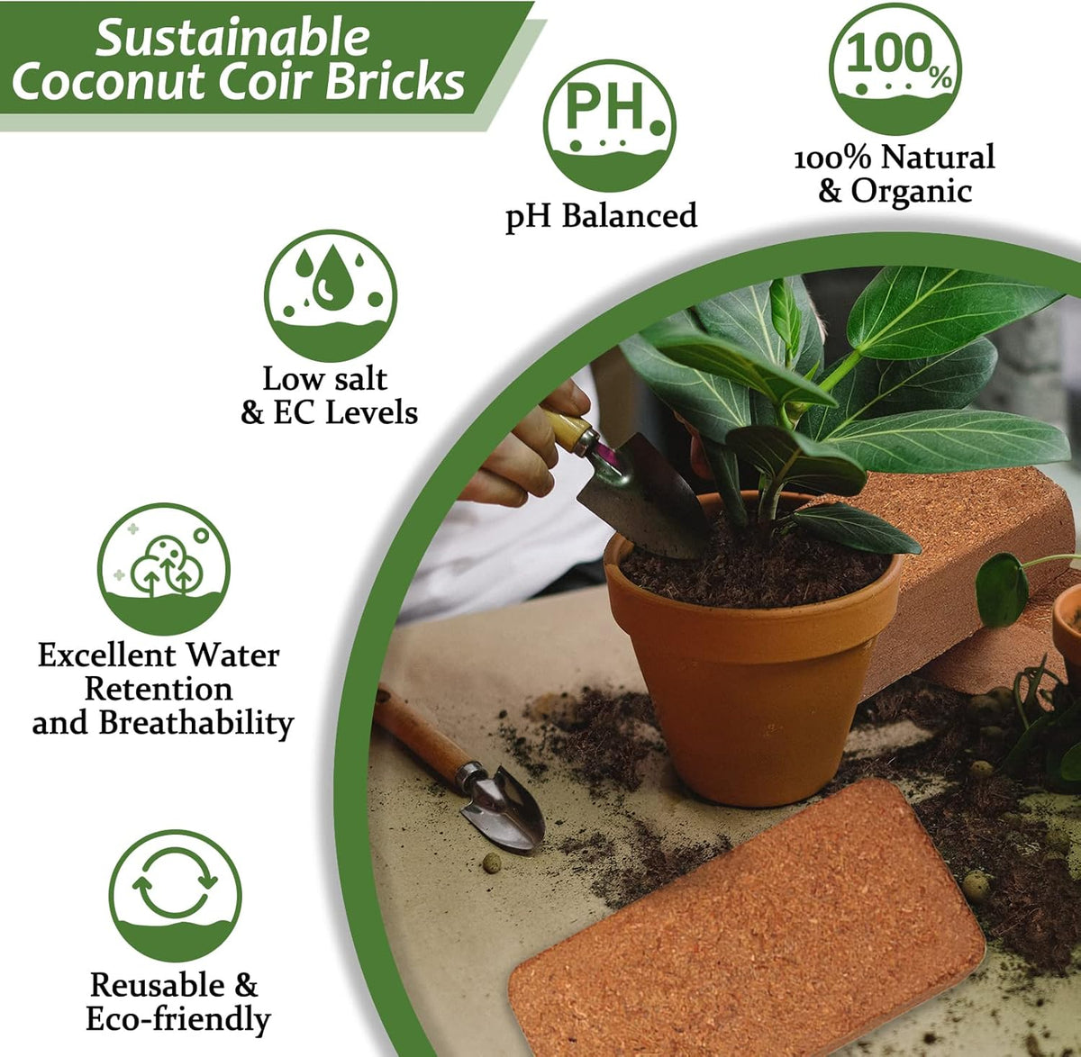 Riare 4pcs Organic Coco Coir Bricks Soil Blocks- 100% Natural Compressed Coco Peat Brick Coconut