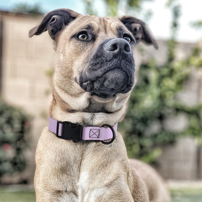 Dogline Biothane Waterproof Dog Collar with Quick Release Buckle Strong Coated Nylon Webbing with