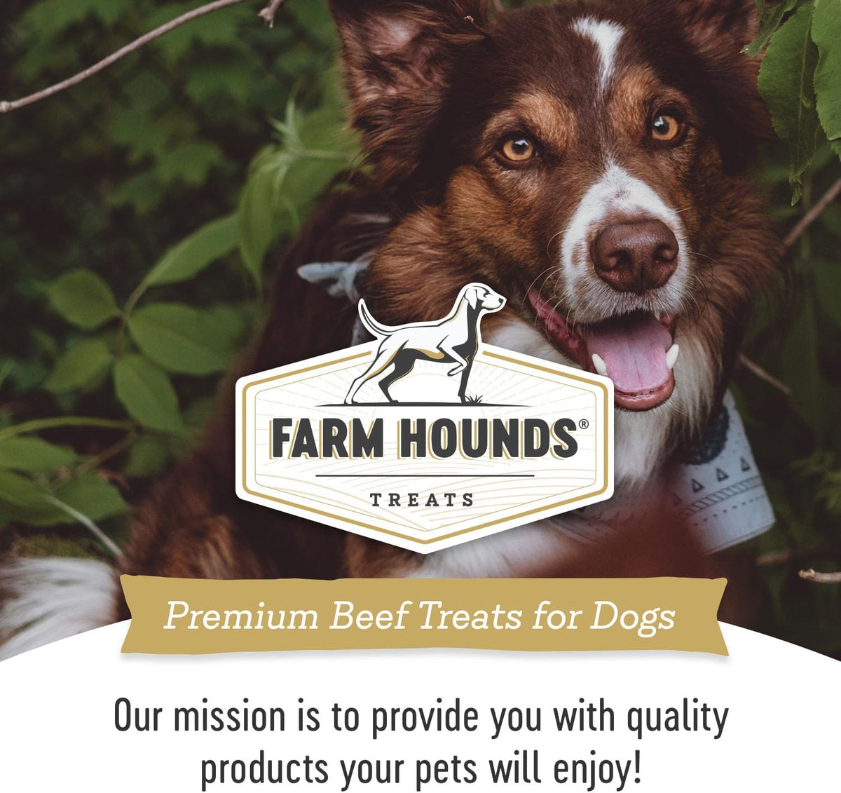 Farm Hounds - Beef Organs Bundle - Premium Beef Organs for Dogs - Made from 100% Humanely Raised