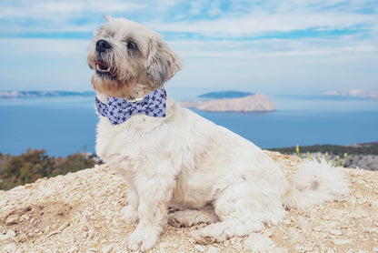 Lionet Paws Dog Collar with Bowtie, Summer Bowtie Collar for Dog,Adjustable Comfortable Dog Collar