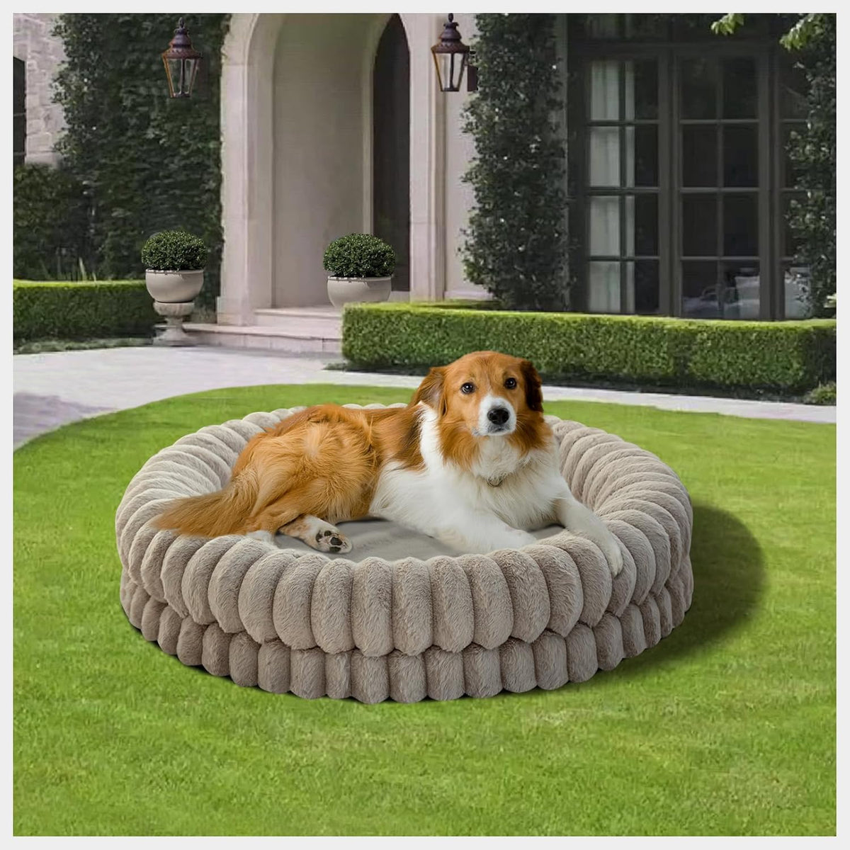 BALANCE Luxury Donut Dog Bed, 36 Inches Round Dog Beds Large Sized Dogs Washable, Orthopedic