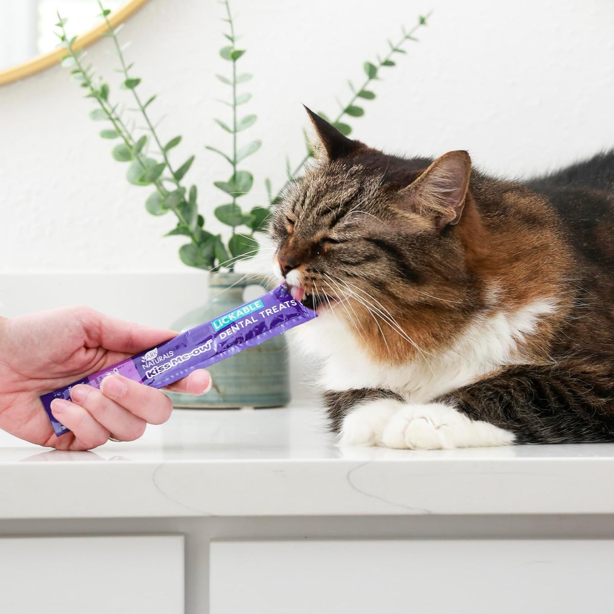 Ark Naturals Kiss Me-Ow Lickable Dental Cat Treats, Chicken Flavored, No Artificial Flavors, 2