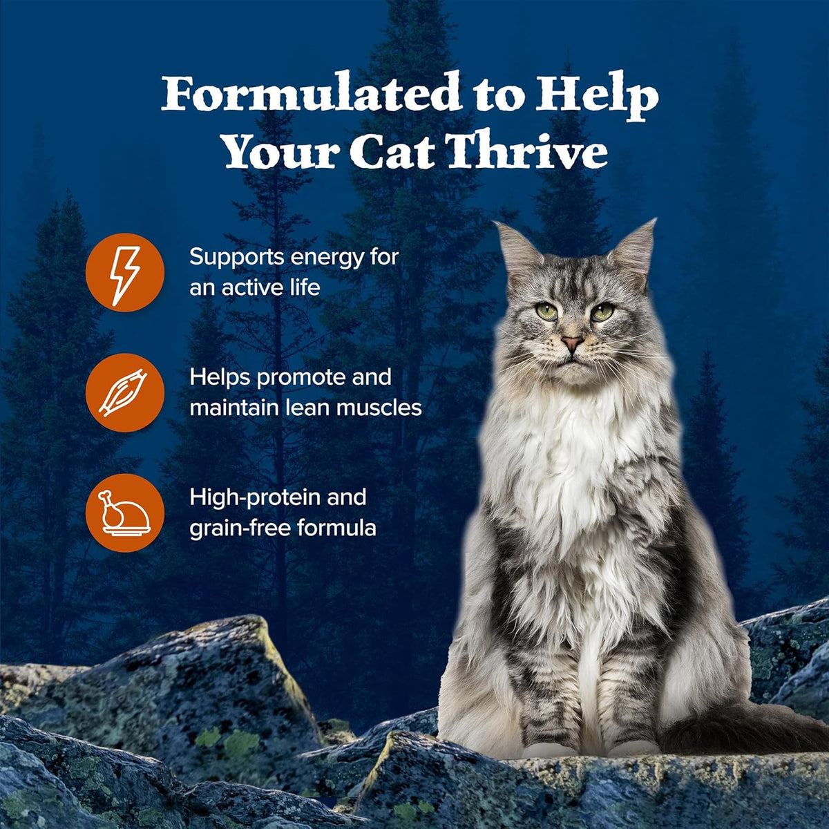 Blue Buffalo Wilderness Wild Delights Meaty Morsels Wet Cat Food, High-Protein & Grain-Free, Made