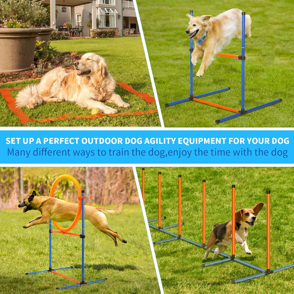 Dog Agility Training Equipment, 72-Piece Obstacle Course Training Starter Kit Indoor Outdoor Game