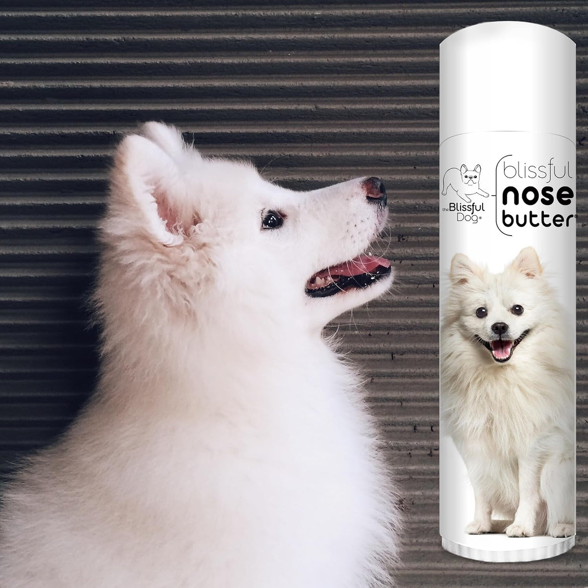 The Blissful Dog American Eskimo Nose Butter for Dry, Cracked Skin, Lick-Safe Dog Nose Balm with
