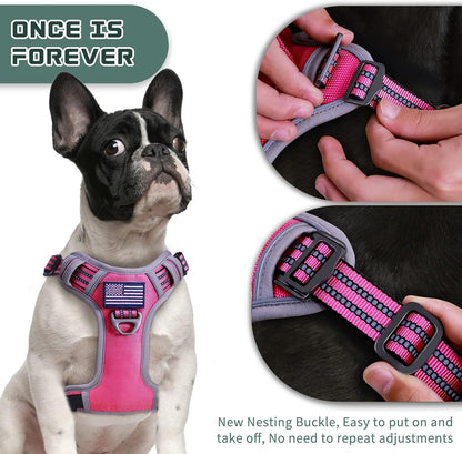 BUMBIN Tactical Dog Harness for Small Dogs No Pull, Famous TIK Tok No Pull Puppy Harness, Fit Smart