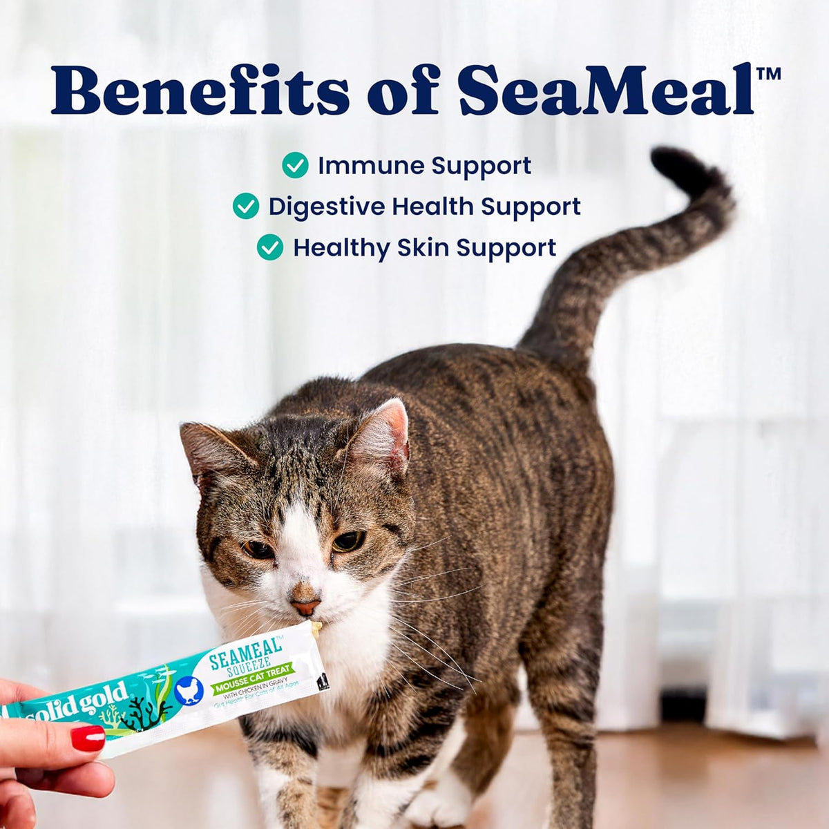 Solid Gold Lickable Cat Treats - Limited Ingredient SeaMeal Squeezable Healthy Cat Treats Variety