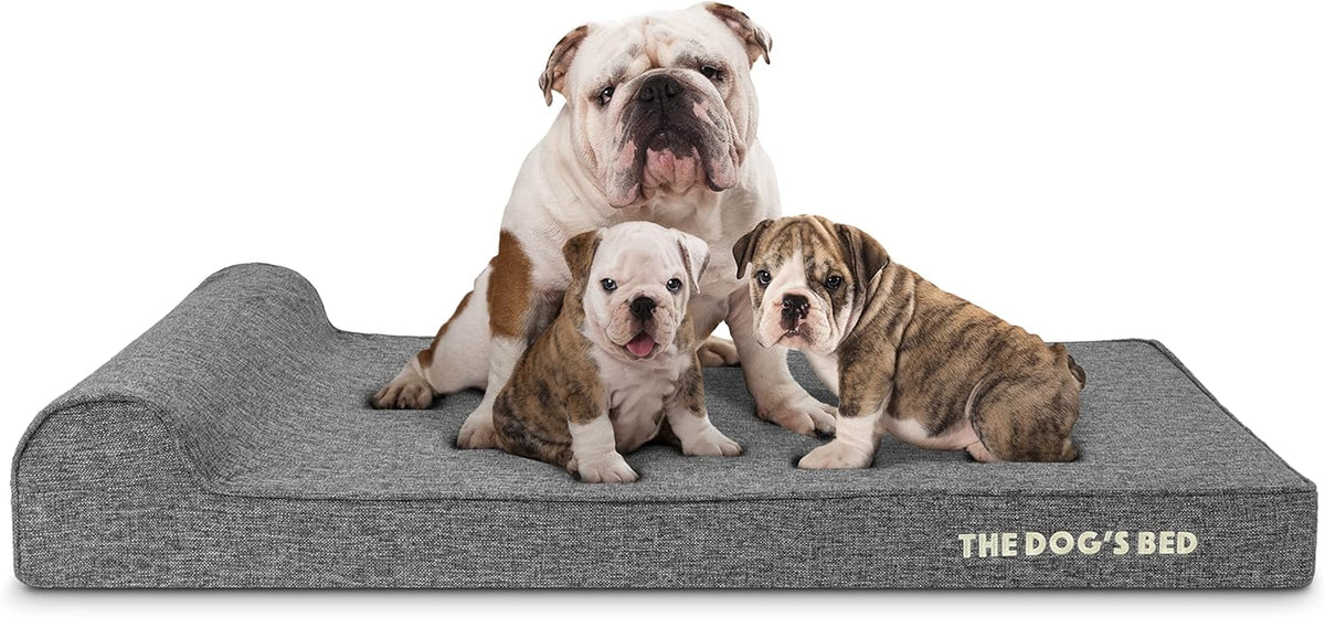 The Dog’s Bed Orthopedic Headrest Dog Bed XL Grey Linen 46x28, Memory Foam, Pain Relief for