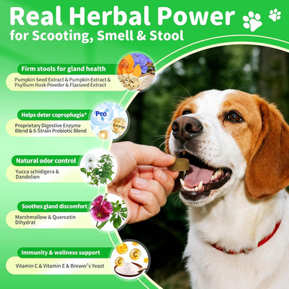Premium Dog Digestive Enzymes and Probiotics with Pumpkin for Gut Health Support - Daily Chews for