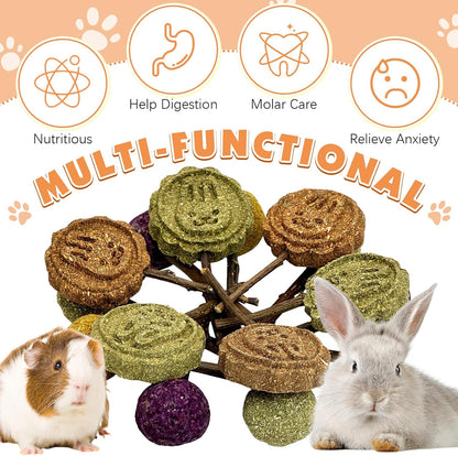 Fhiny Rabbit Chew Toys, 15 PCS Natural Bunny Lollipop Chew Sticks Handmade Guinea Pig Molar Treats