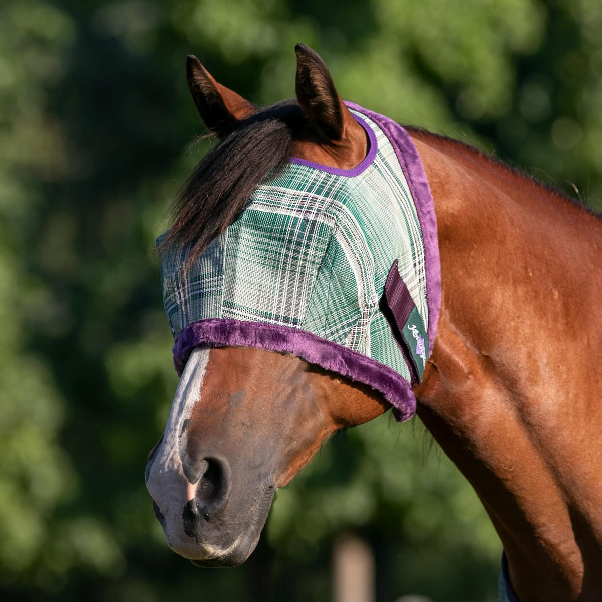 Kensington Fly Mask with Fleece Trim for Horses — Protects Face and Eyes Helps Block Sun Rays While