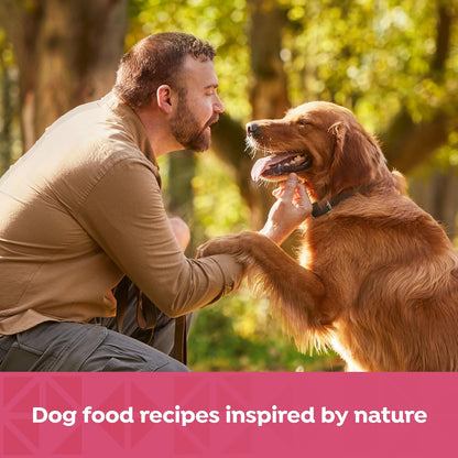 Nature's Recipe Grain Free Salmon, Sweet Potato, and Pumpkin Recipe Wet Dog Food, 13 oz. Can, 12