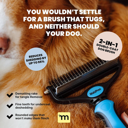 MalsiPree Dog Brush for Shedding - Large, Blue, 2-in-1 - Deshedding Dog Grooming Brush & Undercoat