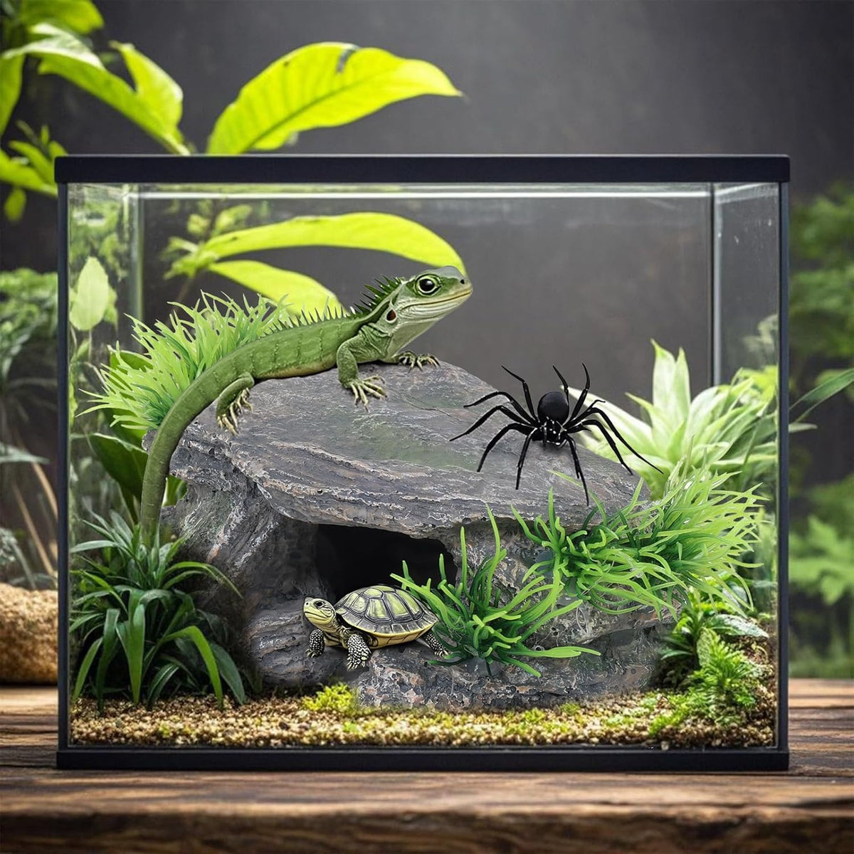 Premium Small Fish Tank Decorations, Reptile Tank Accessories, Turtle Tank Accessories, Natural