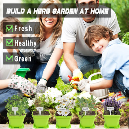 10 Herb Seeds Garden Starter Grow Kit with Green Pots, Markers, Nutritional Soil, Watering, Herb