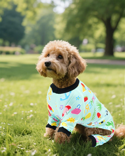 PET SHOW 4 Pack Small Dog Pajamas Watermelon Doggies Soft Stretchy PJs Whale Ice Cream Jumpsuit