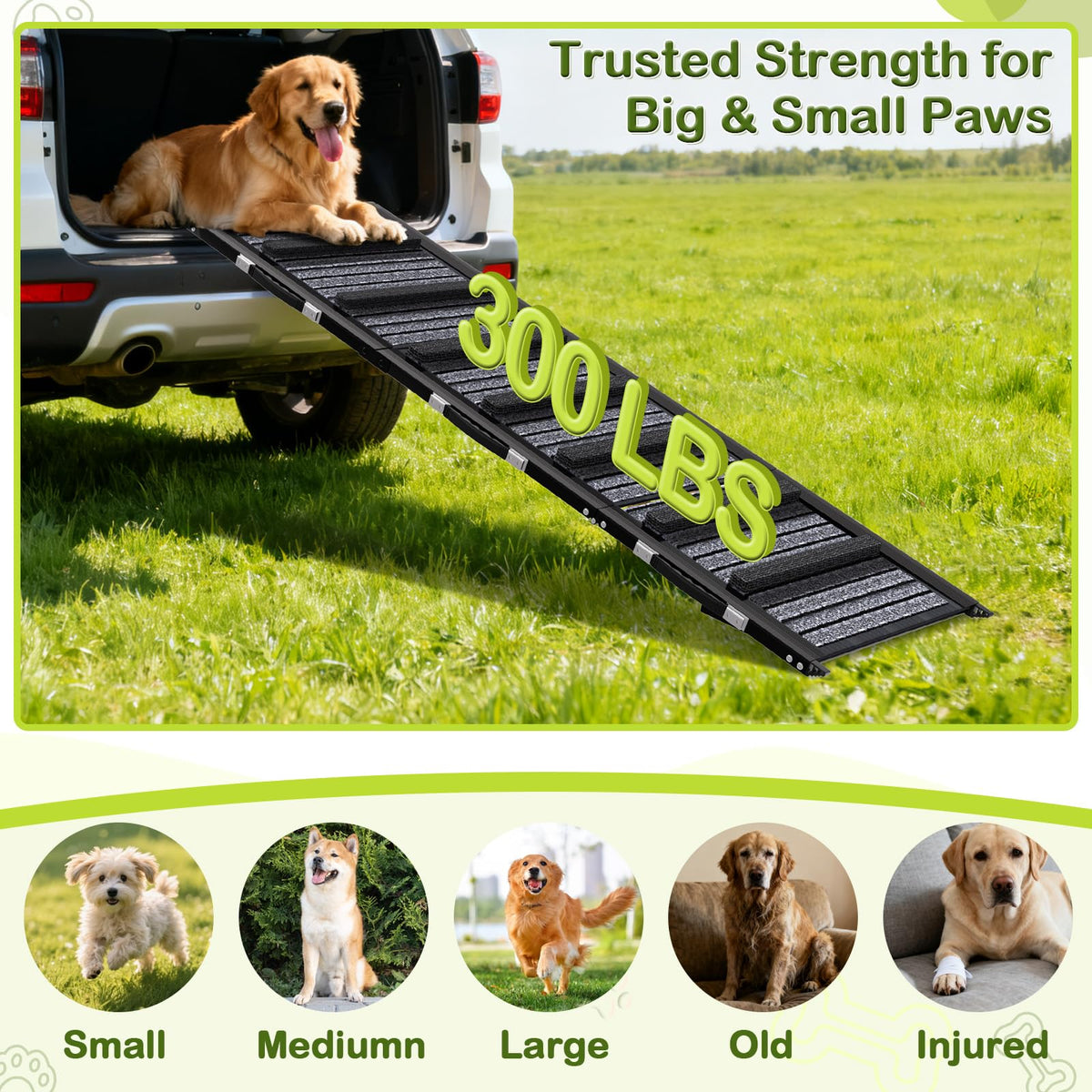 TNELTUEB Adjustable Dog Ramp. Chosen for real quality, fits naturally into modern pet homes.