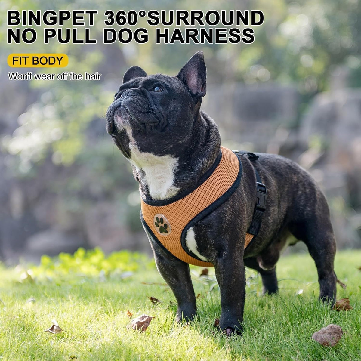 BINGPET No Pull Dog Harness,Soft Mesh Breathable All Weather Vest Harness,Safety Protection Design