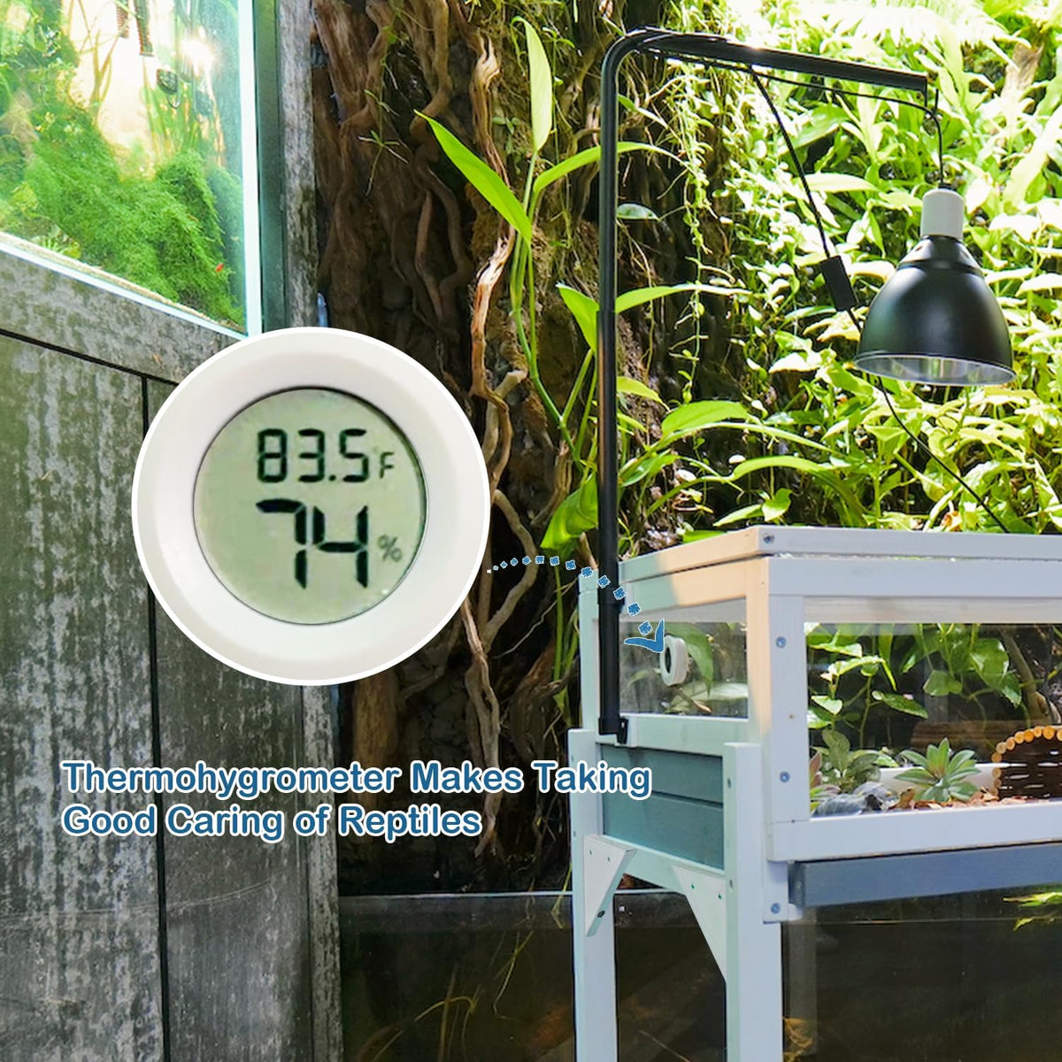 Tortoise Habitat Enclosure Turtle House Indoor Reptile Cage with Hygrothermograph Adjustable Lam