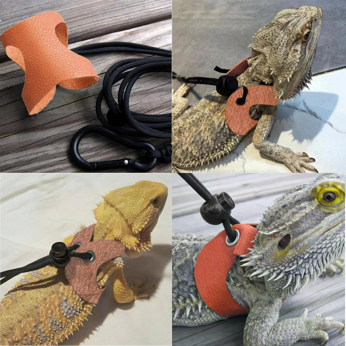 Bearded Dragon Travel Backpack with Harness and Leash Set,Lizard Backpack Travel Carrier,Space