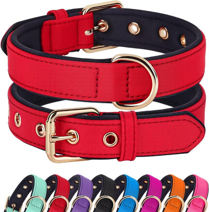 Didog Soft Padded Dog Collars for Medium Dogs, Lightweight and Breathable Dog Collar with Metal