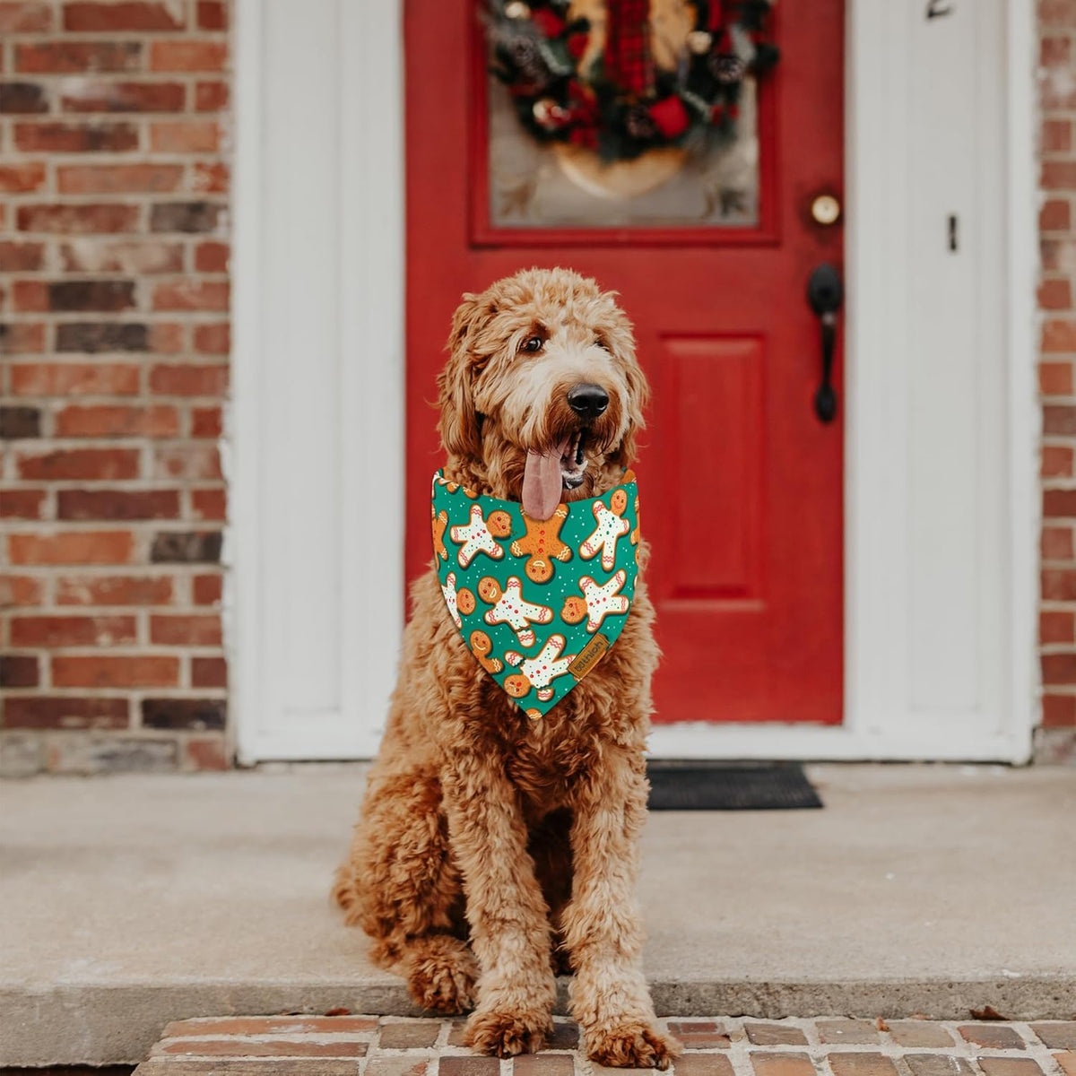 Christmas Dog Bandanas - 2 Pack Reversible Gingerbread Man Dog Scarf for Boy & Girl, Premium