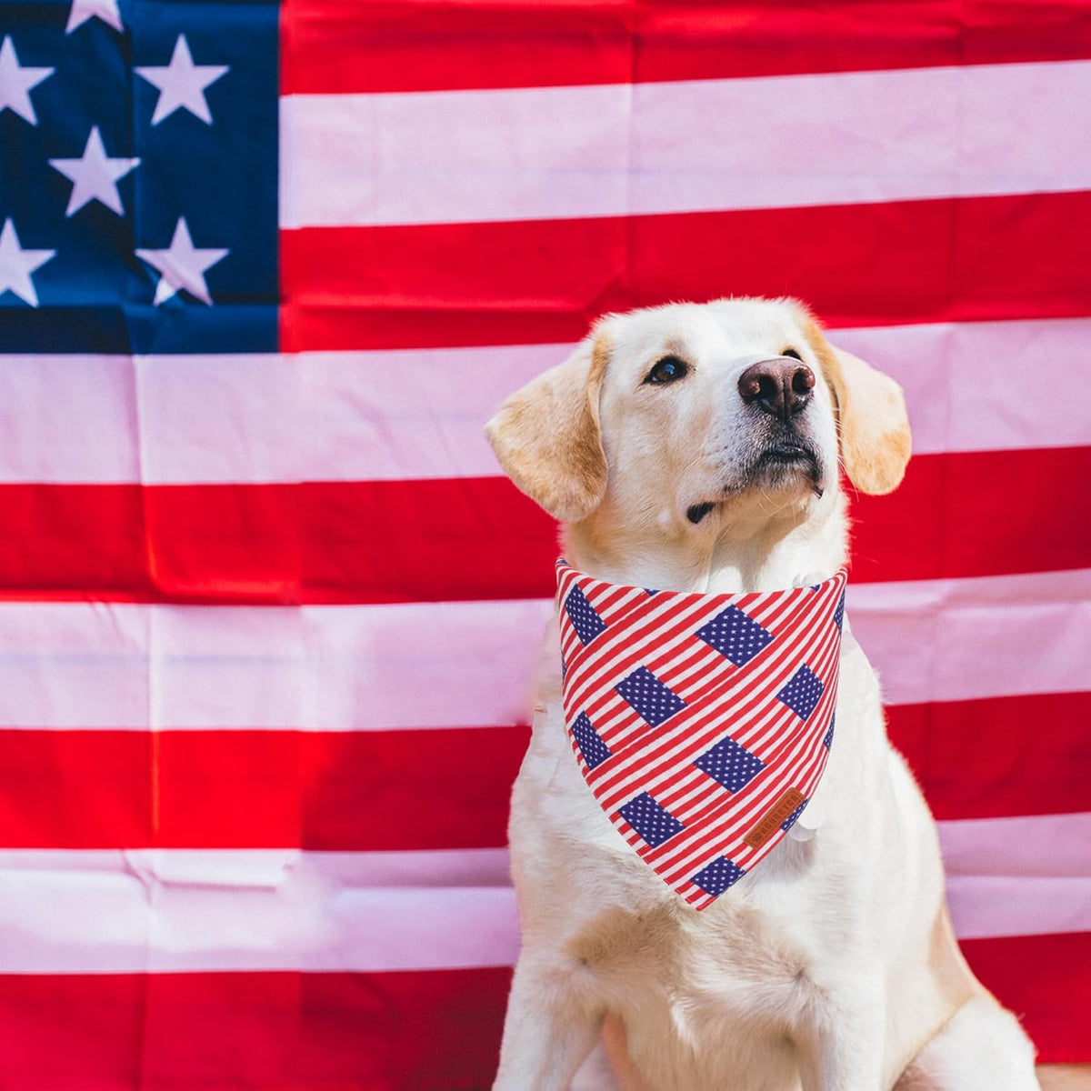 ADOGGYGO American Flag Dog Bandanas, Red Blue Patriotic Eagles USA Flag Scarf, Multi Size, 4th of