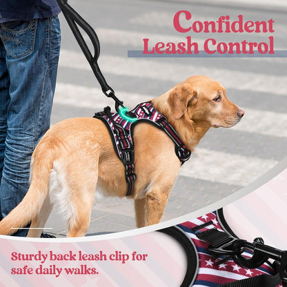 rabbitgoo Dog Harness No Pull with 2 Leash Clips, Adjustable Soft Padded, Reflective Oxford No