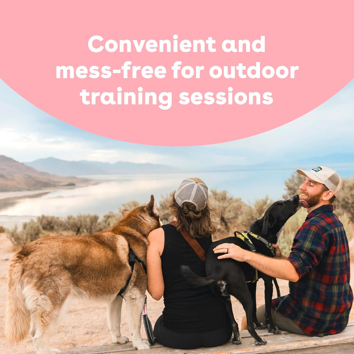 Pupford Freeze Dried Training Treats for Dogs & Puppies, 450+ One Ingredient Bites (Sweet Potato, 4