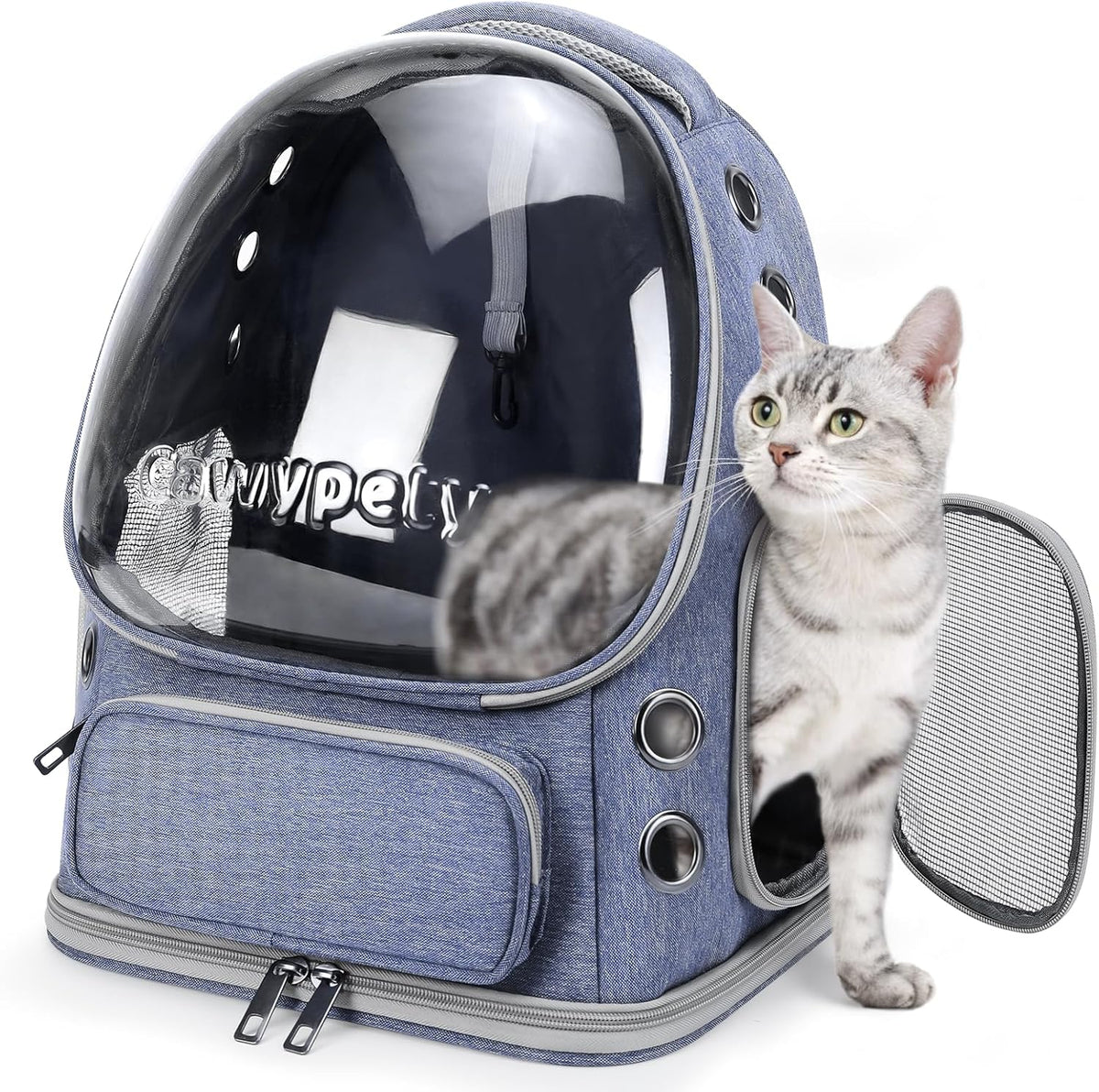 Cat Backpack Carrier, Breathable Cat Carrier Large Space Bubble Pet Backpack for Kitty Small Dog up