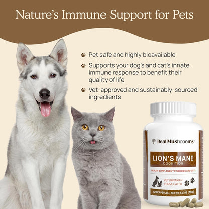 Real Mushrooms Lion’s Mane Pet Mushroom Supplement – Pet Wellbeing Capsules – for Cat & Dog