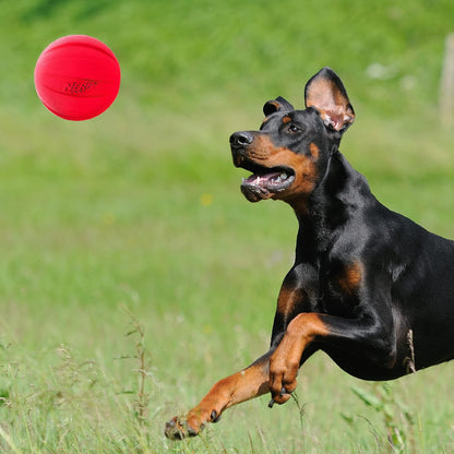 Nerf Dog Classic Squeak Ball Outdoor Dog Toys, 3.8 Inch Dog Ball Fetch Toy, Squeaking Toy for