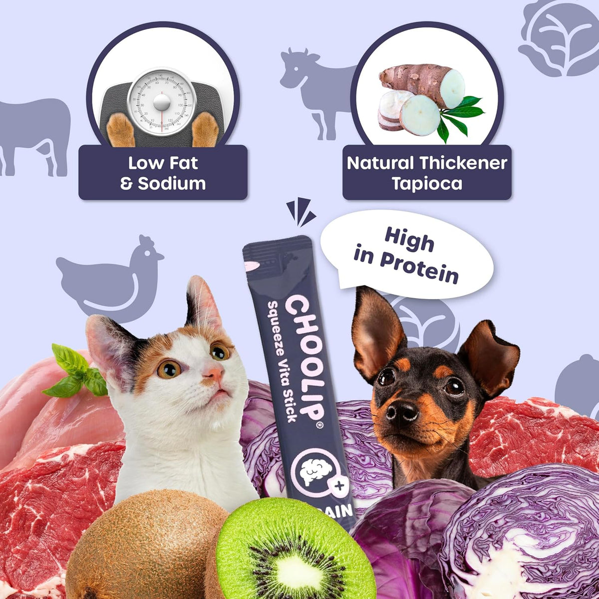 Grab & Go Squeeze Vita Stick Lickable Treats for Dogs & Cats. 49 Brain Support Sticks with
