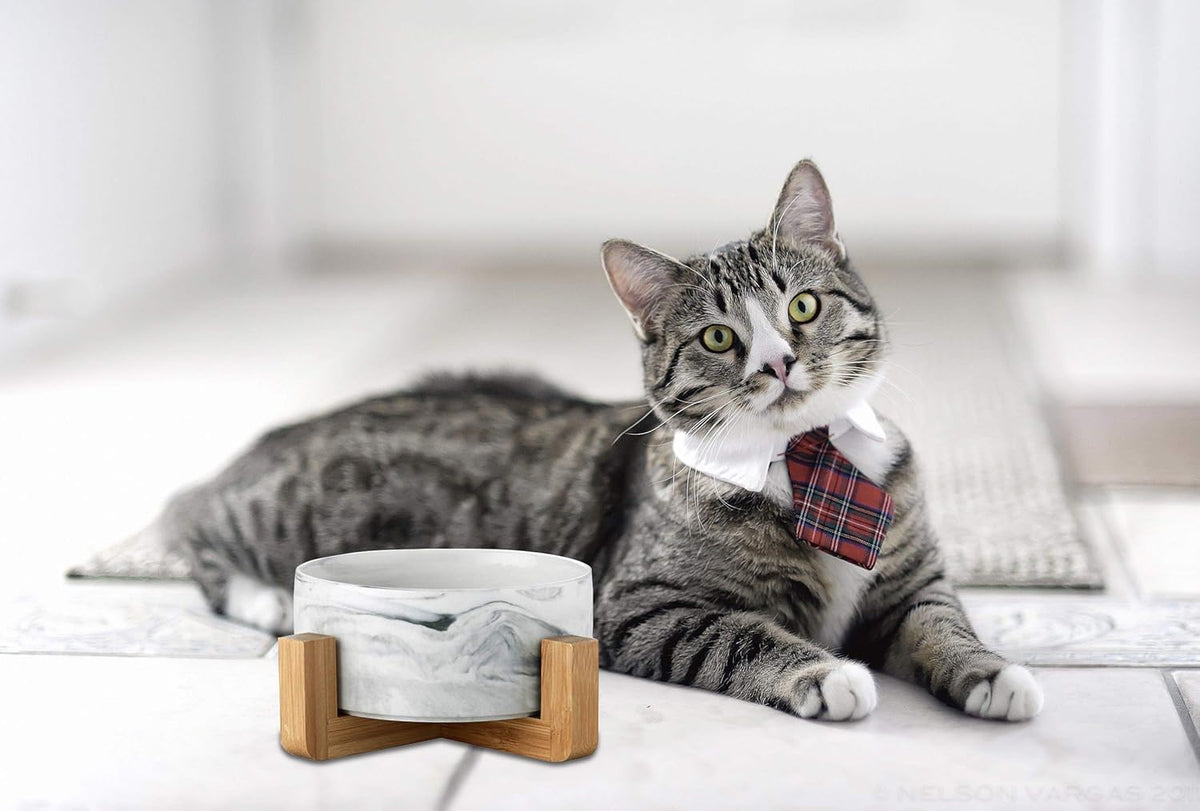Ceramic Pet Bowls with Stand - Dog Cat Water Bowl and Food Dish -Heavy Weighted & No Tip Over Pet