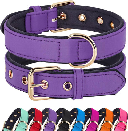 Didog Soft Padded Dog Collars for Small Dogs, Lightweight and Breathable Dog Collar with Metal