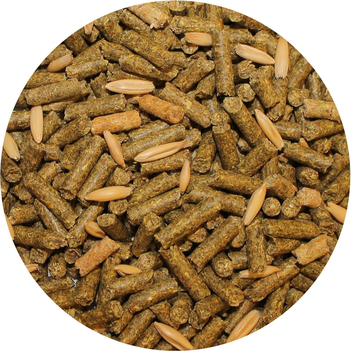 Exotic Nutrition Degu Diet (18lb) - Nutritionally Complete Healthy Pellet Diet with Whole Oats