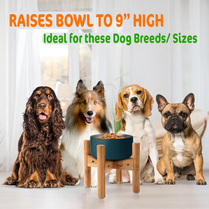 Dog Bowl Stand for Medium Breeds - Raises Bowls to 9-inch High, Ants/Bugs-Off - Adjustable, Fits